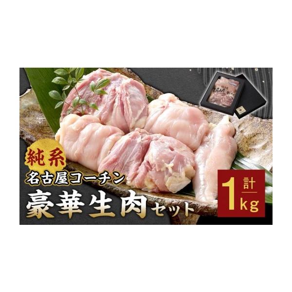 ふるさと納税 鶏肉 モモ 愛知県 名古屋市 純系名古屋コーチン　豪華生肉セット