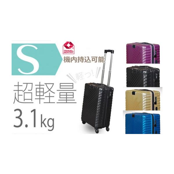 ふるさと納税 カバン 神奈川県 厚木市 TOMAXライトキャリー小型ブルー