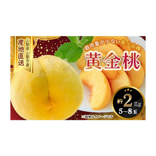 容量■お礼品の内容について・山梨市産 黄金桃[約2kg(5玉〜8玉)]原産地:山梨県山梨市消費期限■賞味期限:出荷日+5日※到着後、すぐにお礼品の状態をご確認のうえ、お早めにお召し上がりください。発送期日2026-08-15〜2026-09...