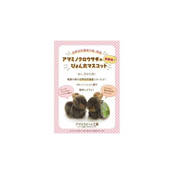 ふるさと納税 雑貨・日用品 ぬいぐるみ 鹿児島県 奄美市 アマミノ