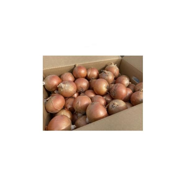 容量■お礼品の内容について・玉ねぎ[1箱(20kg)]原産地:北海道富良野市■原材料・成分玉ねぎ　消費期限■消費期限:発送日から6か月発送期日2026-10-20〜2026-11-20　※離島にはお届けできません。配送常温 別送申込期日20...