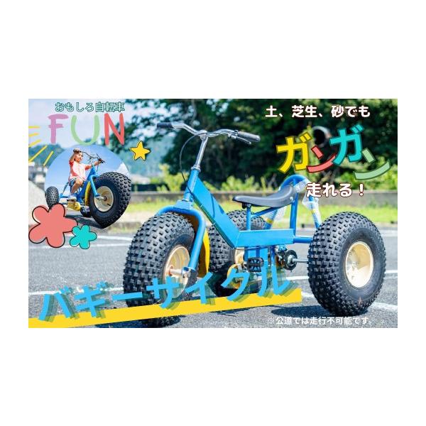 ふるさと納税 自転車 静岡県 伊豆市 おもしろ自転車 バギーサイクル