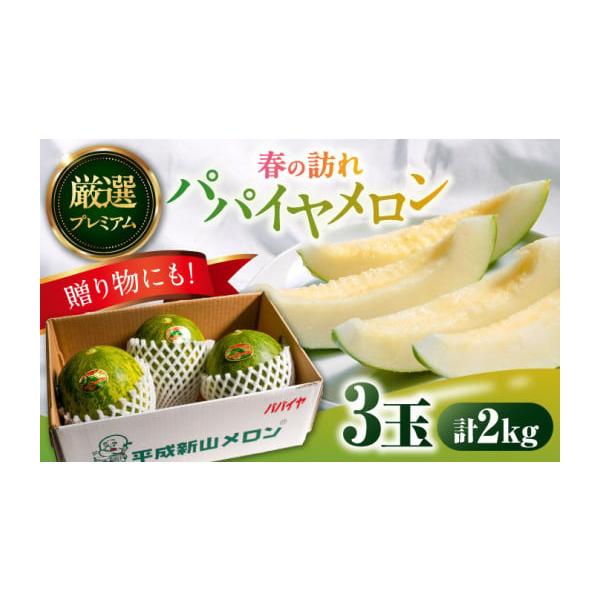 ふるさと納税 メロン メロン青肉 長崎県 南島原市 2026年3月中旬〜発送
