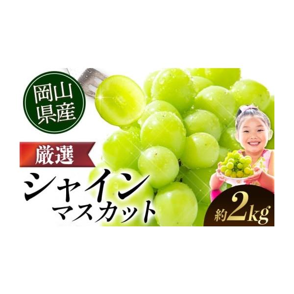 ふるさと納税 ぶどう マスカット 岡山県 矢掛町 2026年出荷先行予約