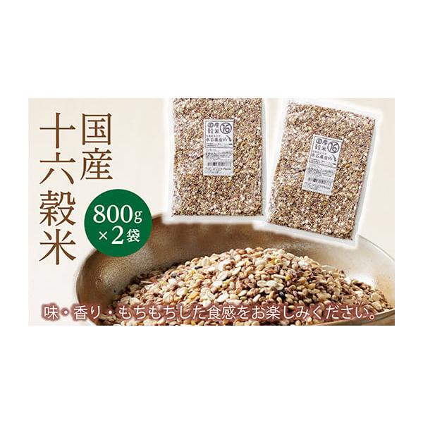 米・雑穀・粉類 Rie ふるさと納税 雑穀 佐賀県 多久市 国産 十六穀米 雑穀米 800g×2袋 もち
