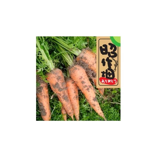 容量土付きにんじん2kg※鮮度を良くするため、土付きのままお送りします。消費期限届き次第開封して直射日光を避け暗くて涼しい風通しの良い場所で保存してください。発送期日令和８年１月〜３月発送開始※天候や生育状況により配送が前後する場合がありま...