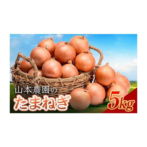 容量南幌町産玉ねぎ 5kg（L〜L大サイズ前後 約17個）消費期限60日発送期日2025年10月上旬より出荷開始（天候により9月下旬になる場合もあります）配送常温 時間指定 別送申込期日2026年3月31日(火)まで※在庫状況により早めに終...