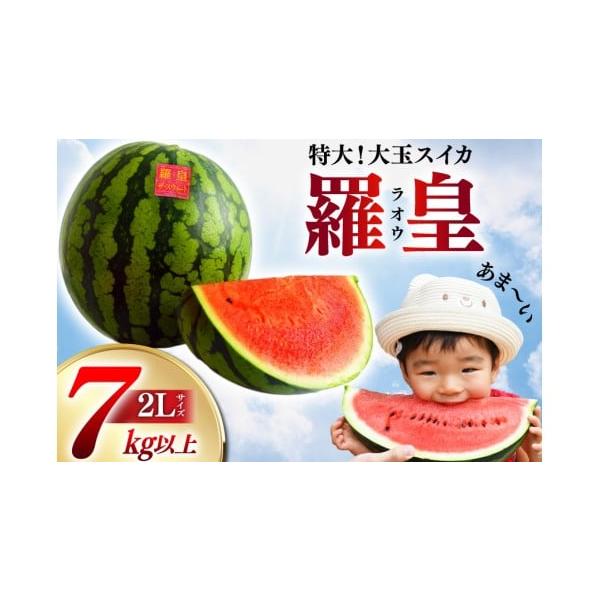 容量2L〜3Lサイズ×1玉(7.0〜10.0kg程度／玉)消費期限賞味期限：収穫日より7日程度（冷暗所で保存）※到着後は、お早めにお召し上がりください。発送期日2026年5月下旬〜2026年6月上旬において順次出荷※申込期日：2026年5月...