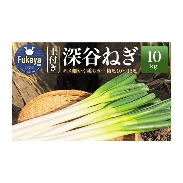 容量土付き深谷ネギ　10kg発送期日2025年11月上旬〜2026年4月下旬配送常温 時間指定 別送申込期日2026年3月15日決済・入金確認分まで事業者おくりもの市場（Y's Flower）申込条件何度も申し込み可