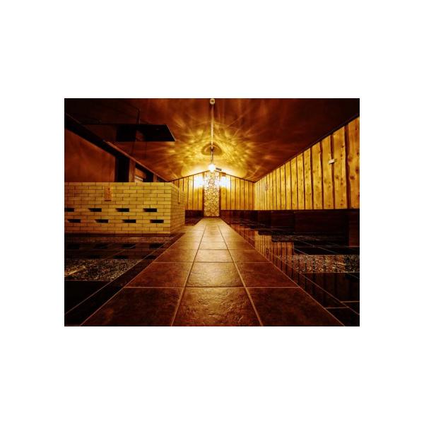 ふるさと納税 温泉・サウナ・スパ利用券 千葉県 習志野市 癒しの温浴施設 Spa Resort 菜々の湯 岩盤浴大人用回数券（10枚つづり）