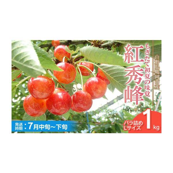 容量さくらんぼ紅秀峰（バラ詰めLサイズ）1kg【提供事業者】丸忠農園消費期限完熟の状態でお届けさせていただきます。実が柔らかく傷みやすいフルーツです。早めにお召し上がりください。発送期日令和8年7月中旬〜7月下旬頃発送予定※天候や発育状況に...
