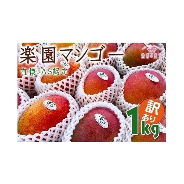 容量有機マンゴー1kg（2〜4玉）玉数の指定はできません。消費期限クール便でお届けします。お手元に届いたらすぐに開封し、商品をご確認いただき、冷蔵庫に入れ、なるべくお早めにお召し上がりください。発送期日2026年6月下旬頃より収穫次第、順次...