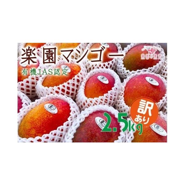 容量有機マンゴー2.5kg（5〜12玉）※玉数の指定はできません。消費期限お手元に届いたらまず商品をご確認いただき、箱から取り出し冷蔵庫に入れてください。冷蔵で届いた場合は、食べ頃となっておりますので、冷やしてからなるべくお早めにお召し上が...