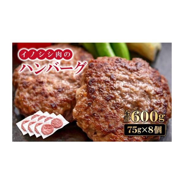 容量600g・イノシシ肉のハンバーグ：75g×8個　（2個入り×4袋）消費期限賞味期限：製造から1年発送期日入金確認(決済完了)から2週間程度配送冷凍 包装 時間指定 別送申込期日通年事業者株式会社クイージ申込条件何度も申し込み可