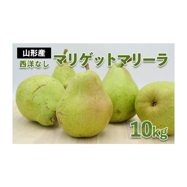 容量【令和8年産】西洋なし(マリゲットマリーラ)秀 10kg(5kg×2箱) 14〜30玉発送期日2026年09月05日頃〜2026年10月04日頃※状況により配送時期が前後する場合がございます。(着日指定不可)配送常温 時間指定 別送申込...