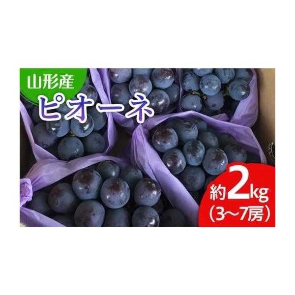 ふるさと納税 ぶどう 山形県 山形市 山形市産 ぶどう(ピオーネ) 秀 2kg