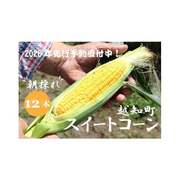 容量12本発送期日6月中旬から7月下旬頃まで（収穫状況・天候等により遅延する場合がございます。）配送冷蔵 時間指定 別送申込期日12月31日（水）まで申込条件何度も申し込み可、オンライン決済限定