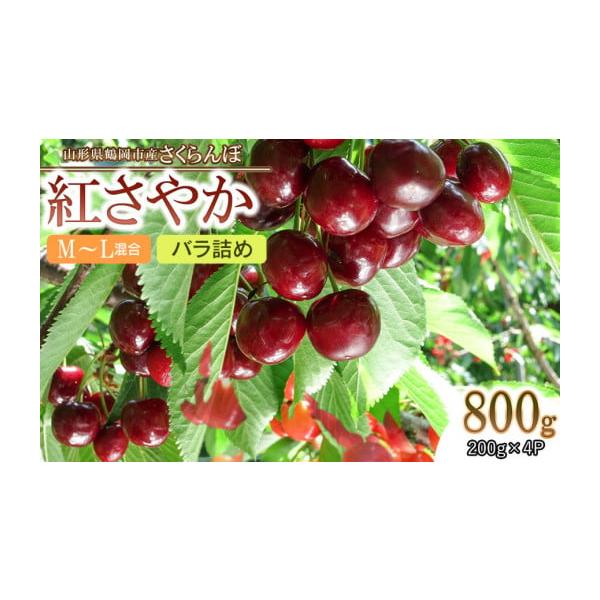 容量紅さやか　200g×4パック 合計800g（M~Lサイズ混合 フードパック　バラ詰め）【産地】山形県鶴岡市【提供事業者】五十嵐　茂也消費期限実が柔らかく傷みやすいフルーツです。生もののため到着後は冷蔵庫で保存の上、お早めにお召し上がりく...