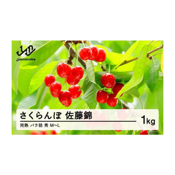 容量佐藤錦 1kg（バラ詰・秀・M〜L）消費期限【賞味期限】発送日より3日程度※到着後はお早めにお召し上がりください。発送期日2026年6月中旬〜6月末頃に順次発送※発送時期は、例年の発送時期を記載しております。天候や収穫状況により変更にな...