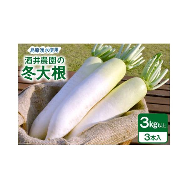 容量■内容量冬大根3kg以上(3本入)■原材料名冬大根（長崎県島原産）消費期限■賞味期限 乾燥を避け、なるべくお早めにお召し上がりください。  ■保存方法 乾燥を防ぐため、湿った新聞紙等に包んで冷蔵庫に保管発送期日2025年12月中旬〜20...