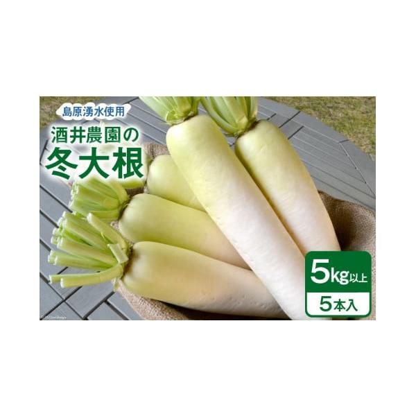 容量■内容量冬大根5kg以上(5本入)■原材料名冬大根（長崎県島原産）消費期限■賞味期限 乾燥を避け、なるべくお早めにお召し上がりください。  ■保存方法 乾燥を防ぐため、湿った新聞紙等に包んで冷蔵庫に保管発送期日2025年12月中旬〜20...