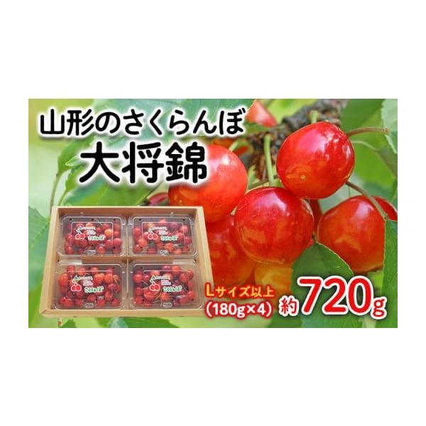 容量【令和8年産】さくらんぼ 大将錦 Lサイズ以上720g(180g×4パック)発送期日2026年06月15日頃〜2026年07月15日頃※状況により配送時期が前後する場合がございます。(着日指定不可)配送冷蔵 時間指定 別送申込期日202...
