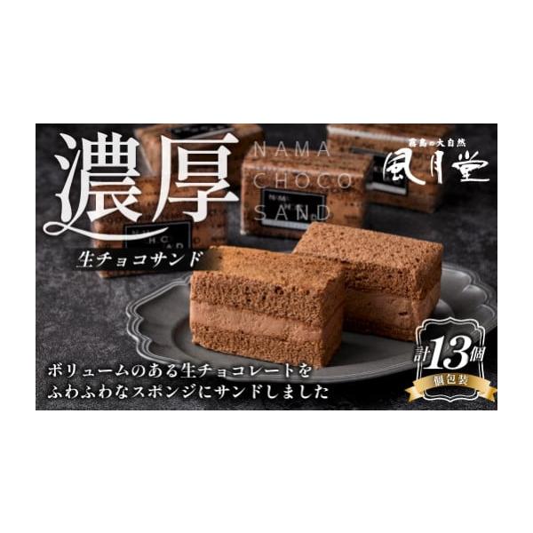 【専用】チョコケーキ&チョコバッグ ふるさと納税 ケーキ・カステラ チョコレートケーキ 宮崎県 小林市