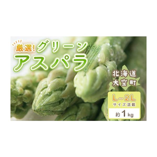 容量■お礼品の内容について・露地アスパラ[約1kg(L~2L)]　　原産地:北海道網走郡大空町■原材料・成分アスパラ消費期限賞味期限:出荷日+冷蔵保存にて7日発送期日2026年5月中旬頃から順次発送※1〜2か月お時間かかる場合もございます。...