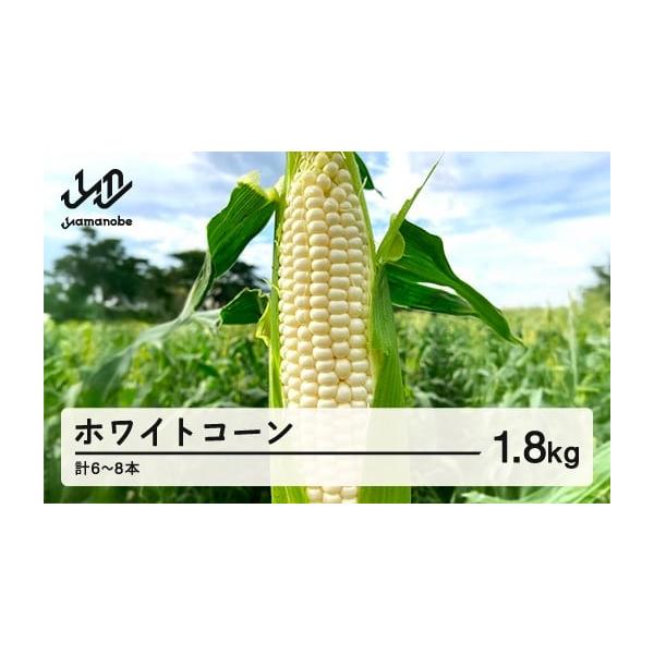 容量皮付きとうもろこし1.8kg（約250g以上・6〜8本）品種：ピュアホワイト消費期限発送日から5日以内発送期日2026年7月中旬-9月下旬(8月9日-15日を除く)に順次発送※発送時期は、例年の発送時期を記載しております。天候や収穫状況...
