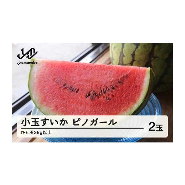 容量2玉（2kg以上の玉が2つ）消費期限発送日から7日以内発送期日2026年7月上旬頃〜8月下旬頃に順次発送※発送時期は、例年の発送時期を記載しております。天候や収穫状況により変更になる場合があります。配送常温 時間指定 別送申込期日202...