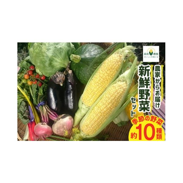 容量季節の野菜10種類程度（100サイズの箱に入る量）消費期限出荷日+5日(時期により野菜の内容は異なりますが、出荷日より5日程度が目安となります。)発送期日2025年12月前半〜2026年5月前半において順次出荷※申込期日：2026年4月...