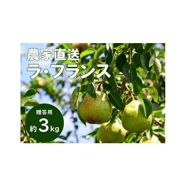 容量【贈答用】約3kg（7〜10玉）消費期限追熟のうえ、食べごろになりましたらお早めにお召し上がりください。発送期日2026年10月下旬頃から順次発送（予定）※気候により配送時期に変動がある可能性がございます。※発送時期が近づきましたら、ご...