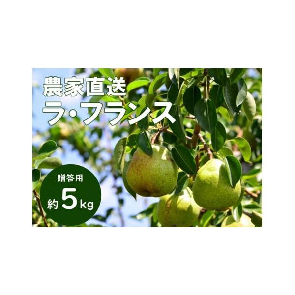 容量【贈答用】 約5kg（12〜18玉）消費期限追熟のうえ、食べごろになりましたらお早めにお召し上がりください。発送期日2026年10月下旬頃から順次発送（予定）※気候により配送時期に変動がある可能性がございます。※発送時期が近づきましたら...