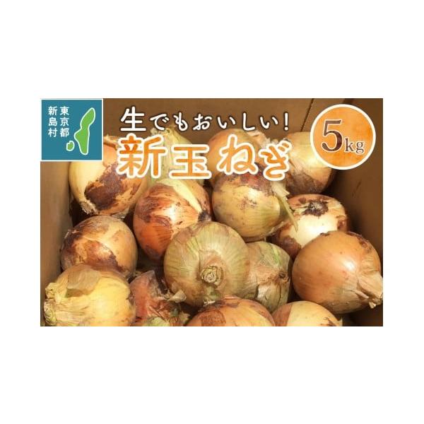 容量新玉ねぎ:5kg・個数:約15個〜25個・サイズ:S~L混合消費期限高温・多湿を避けて風通しの良い日陰での保存か、冷蔵での保存をお願いします。生鮮品(野菜)ですので、なるべくお早めにお召し上がり下さい。発送期日2026年4月上旬〜準備出...