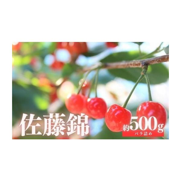 容量500g／バラ消費期限発送日+3日発送期日2026年6月中旬から2026年6月下旬発送予定配送冷蔵 時間指定 別送事業者古井果樹園申込条件何度も申し込み可、オンライン決済限定