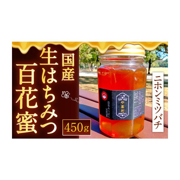 ふるさと納税 加工品等 はちみつ 福岡県 北九州市 国産 生はちみつ