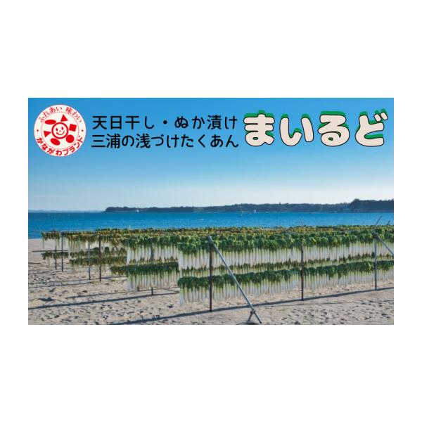 容量三浦のたくあん「まいるど」小樽10リットル容器入り【保存方法】洗わずにポリ袋へ入れ、10℃以下で保存してください。※樽での保存方法は、重石10kg以上（バケツに水または小石を入れて）を、最後の1本まで必ずお願いします。置き場所は、日のあ...