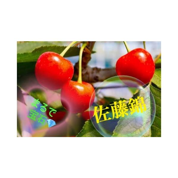 容量【佐藤錦】箱入り バラ詰め 約500g消費期限到着次第、お早めにお召し上がりください。発送期日2026年6月中旬〜6月下旬頃、順次発送予定※天候や収穫状況により出荷に変動がございます。（※沖縄・離島へのお届けはできかねております。）配送...