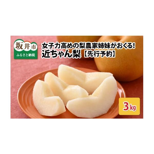 容量・近ちゃん梨 3kg（3L〜5L） 6〜8玉入り幸水または豊水を発送させて頂きます。品種ごとに収穫時期が異なります。発送はご準備でき次第順次発送いたします。幸水の数が少ないため発送できない場合は豊水になる可能性があります。品種はお選びい...