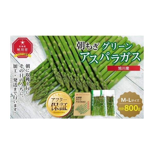 容量グリーンアスパラガス　L・M　各サイズ400g（計800g）消費期限発送日から7日間発送期日2026年5月中旬〜6月中旬■必ずお読みください■※収穫状況により発送時期が前後する可能性があります。※配送日時、配送時期、配達曜日などのご要望...