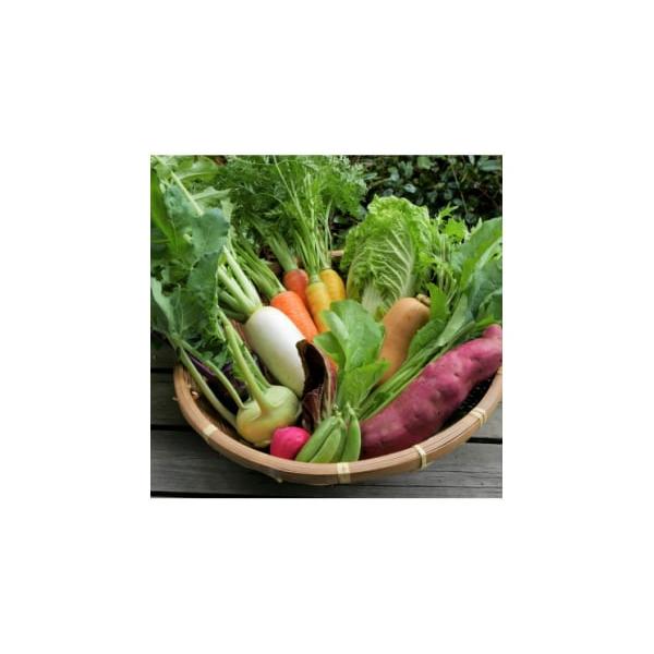 容量■お礼品の内容について・旬の野菜セット[7〜8種類]　　原産地:兵庫県養父市消費期限■賞味期限:冷蔵庫に保存の上、2週間程度を目安にお召し上がりください。発送期日2025-10-06〜2026-01-31　※離島にはお届けできません。配...