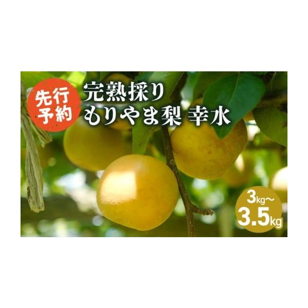 容量幸水梨　3kg〜3.5kg消費期限到着より冷蔵にて1週間発送期日2026年8月中旬〜9月初旬ごろ※天候、生育の都合上発送が前後する場合があります配送冷蔵 時間指定 別送申込期日2026年8月15日まで事業者きたむら果樹園申込条件何度も申...
