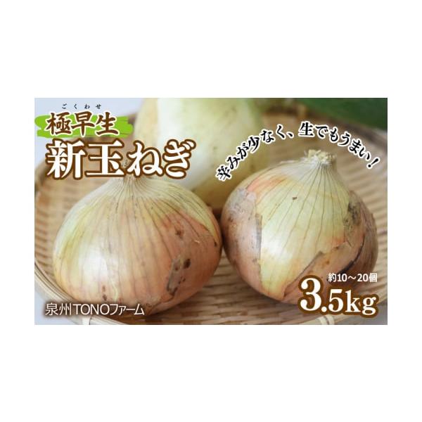 容量新玉ねぎ 3.5kg※画像はイメージです。消費期限発送日から5日間発送期日2026年2月から3月末までの期間に、ご寄附の受付順に発送予定※品質保持のため、宅配ボックスへの配達や置き配などのご要望はお受けできません。配送冷蔵 別送申込期日...