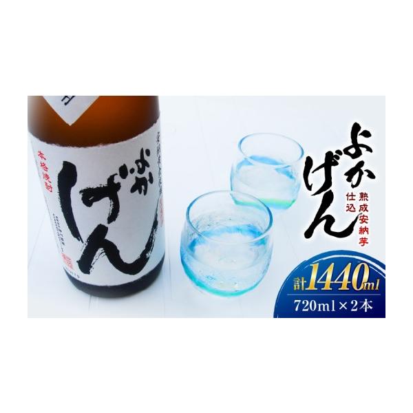 ふるさと納税 焼酎 いも 鹿児島県 鹿屋市 1919 熟成安納芋仕込 焼酎