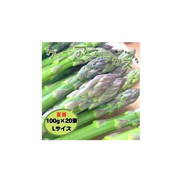 容量100g×20束／Lサイズ消費期限生ものですのでお早めにお召し上がりください。発送期日寄附納入確認後、6月〜8月に発送します。※生産の都合で前後する場合があります。配送冷蔵 時間指定 別送申込期日オンライン決済以外は2026年7月22日...