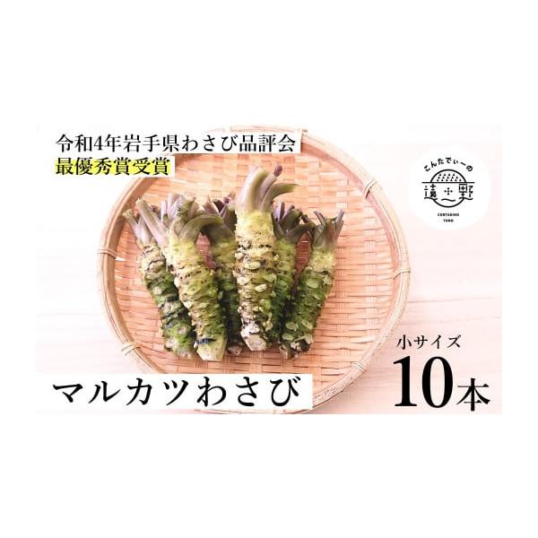 ふるさと納税 野菜類 薬味 岩手県 遠野市 令和4年岩手県わさび ふるさと納税 野菜類 薬味 岩手県 遠野市 令和4年岩手県わさび