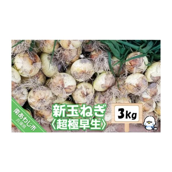 容量新玉ねぎ　3kg消費期限冷暗所で約1週間程度※生鮮品のため、到着後は箱から出して保存し、お早めにお召し上がりください。※消費期限経過後に傷み等のご連絡をいただいた場合、返品・交換はご対応いたしかねます。発送期日２月下旬より準備でき次第、...