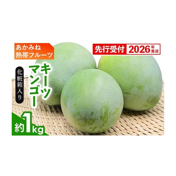 容量キーツマンゴー約1kg（1〜2個)(化粧箱入)※玉数の指定はできません。アレルギー：ウルシ科消費期限 到着後はなるべくお早めに召し上がりください。発送期日2026年8月中を予定配送常温 別送申込期日2026年7月15日頃までを予定事業者...