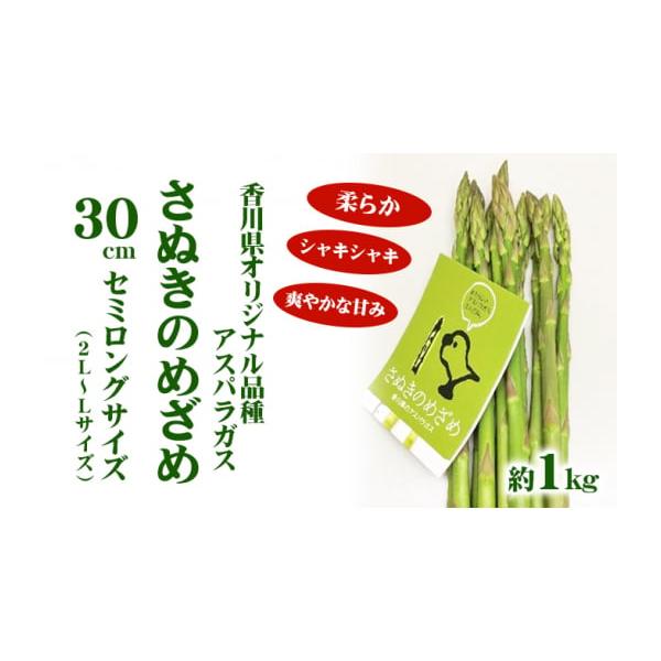 容量約1kg　30cm（2L〜Lサイズ）消費期限7日発送期日2026年2月20日〜6月10日配送冷蔵 別送申込期日2026年5月20日まで事業者株式会社五色青果　東かがわ営業所申込条件何度も申し込み可
