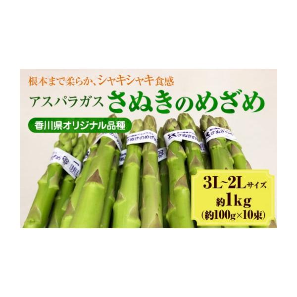 容量約1kg　太目3L〜2Lサイズ（約100g×10束）消費期限7日発送期日2026年3月10日〜7月20日配送冷蔵 別送申込期日2026年6月20日まで事業者株式会社五色青果　東かがわ営業所申込条件何度も申し込み可